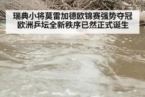 瑞典小将莫雷加德欧锦赛强势夺冠欧洲乒坛全新秩序已然正式诞生